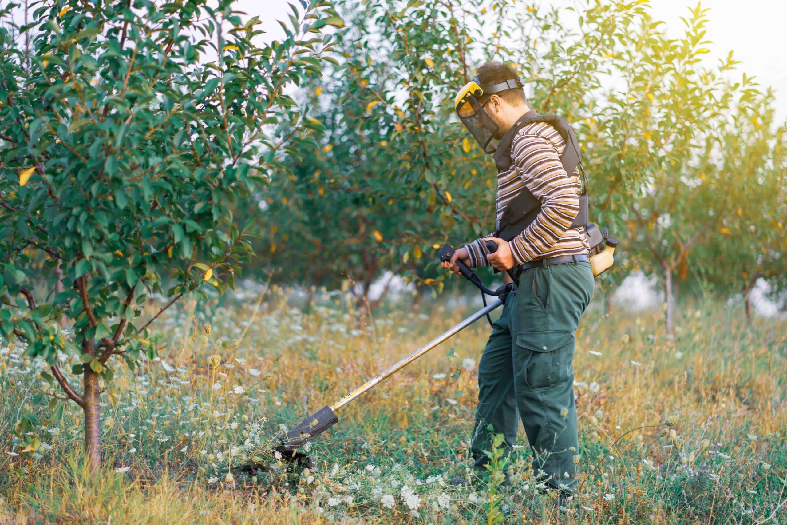 accesorios para desbrozadora esenciales en agricultura y jardineria