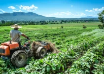 Desbrozadora agrícola en México: Beneficios y usos en la agricultura