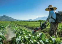 Desbrozadora de mochila, eficacia y comodidad para tus tareas agrícolas